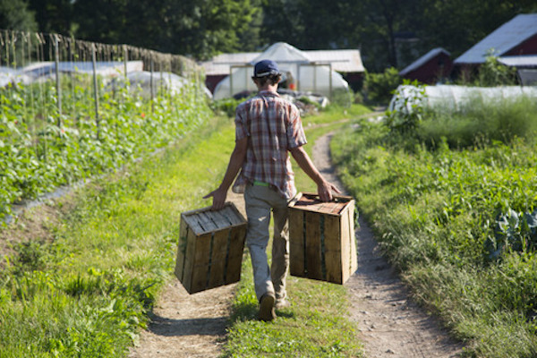 Organizations like Our Harvest will be able to apply for an energy-efficiency refrigeration grant from Green Umbrella.