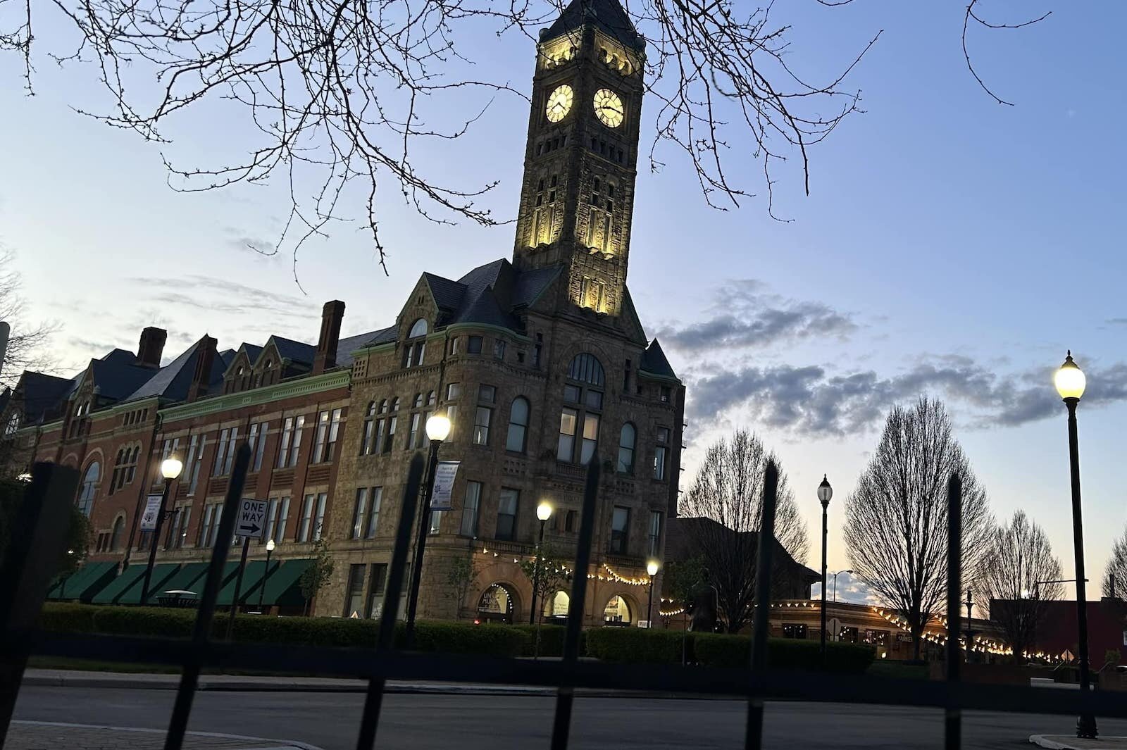 Downtown is a stunning place at night and with more and more things drawing visitors in I can see why the crows hang out too. — From April 25 post