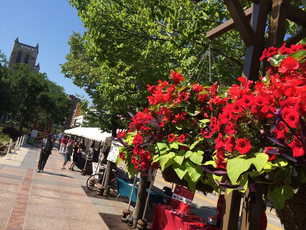 Summer in the city, Peavey Plaza