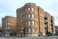avondale-250