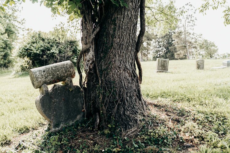 A tree has grown up next to this marker from the 19th century.