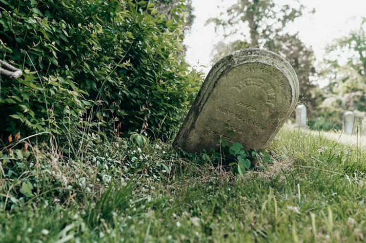 Many headstones have been damaged, lost or consumed by plant growth.