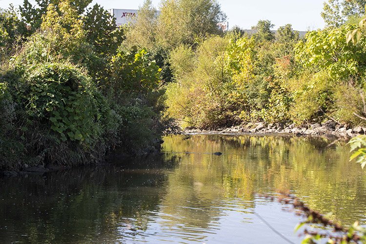 The confluence of the East Fork of the Mill Creek and the Creek's main branch.