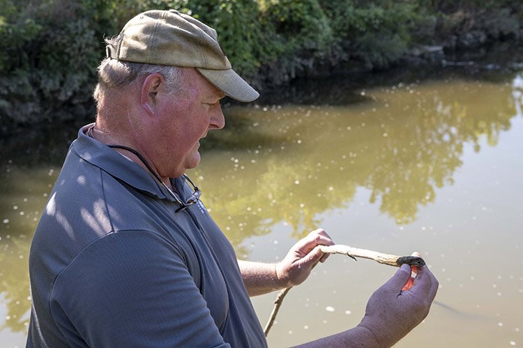Mill Creek Alliance Director Dave Schmitt examines beaver marks.